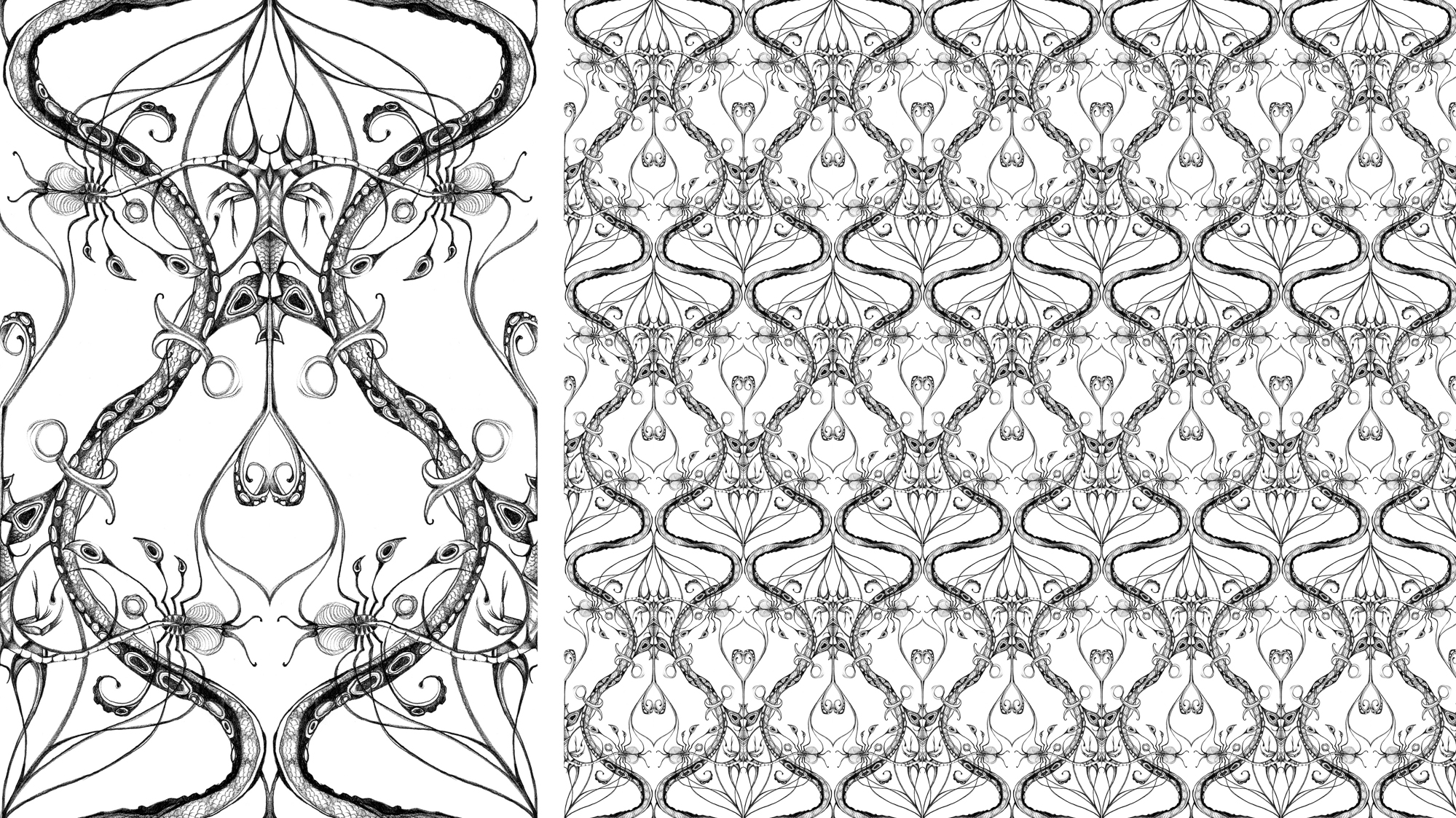 5-Bec_Kilpatrick_Illustration_Patternwallpaper_white