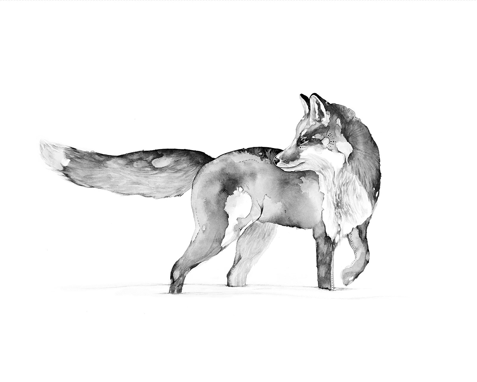 foxprintlandscape8x10